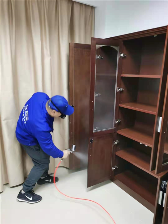 倚林佳园室内甲醛治理 