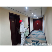 信阳厨房灭鼠灭蟑螂怎么收费