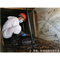 信阳旅馆灭鼠灭蟑螂哪家治理服务好