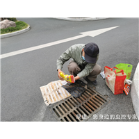 信阳本地灭鼠灭蟑螂怎么收费