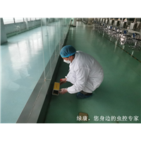 信阳厨房灭鼠灭蟑螂哪家服务好