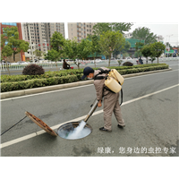 信阳食堂灭鼠灭蟑螂哪家治理服务好