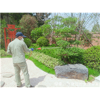 信阳餐馆灭鼠灭蟑螂怎么收费