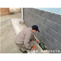 信阳电影院灭鼠灭蟑螂哪家服务好