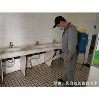 信阳酒家灭鼠灭蟑螂哪家服务好