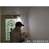 信阳咖啡馆除四害哪家服务好