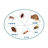 信阳商城商业楼灭鼠灭蟑螂电话是多少