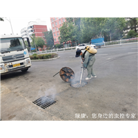 信阳咖啡馆灭鼠灭蟑螂哪家好