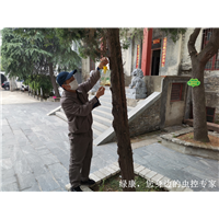 信阳医院灭鼠灭蟑螂哪家治理服务好