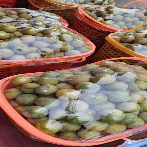 贵州蜂糖李苗价格
