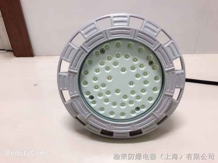 盐城新型LED粉尘防爆灯渝荣防爆特价 