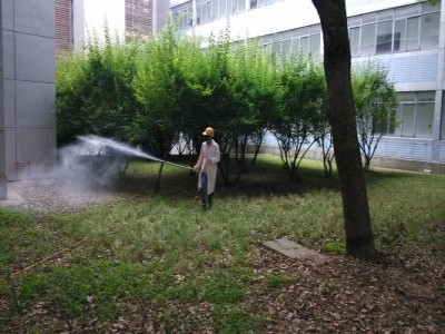 石家庄灭鼠 