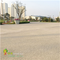 彩色砾石地坪价格l价格实惠l亚睿全国供应 