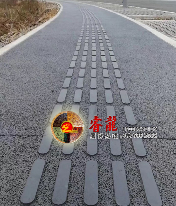 上海睿龙生态透水地坪厂家全国销售 