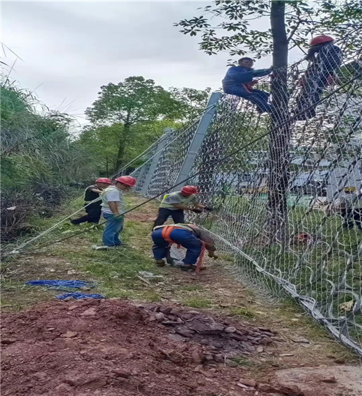 绿化边坡防护网厂家