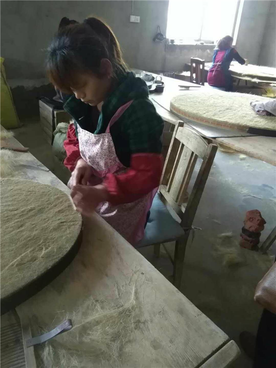 猪毛