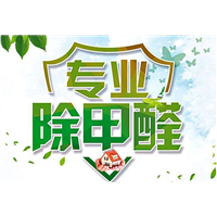 吉安除甲醛公司 