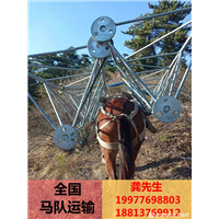 广西有马帮运输公司吗