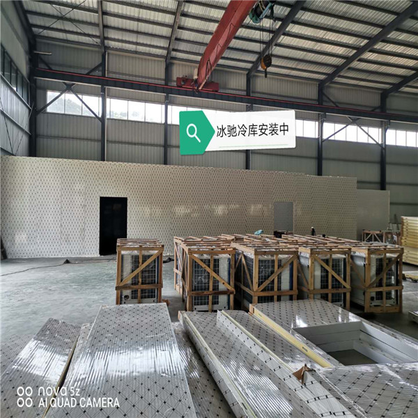 连平建冷冻库厂家