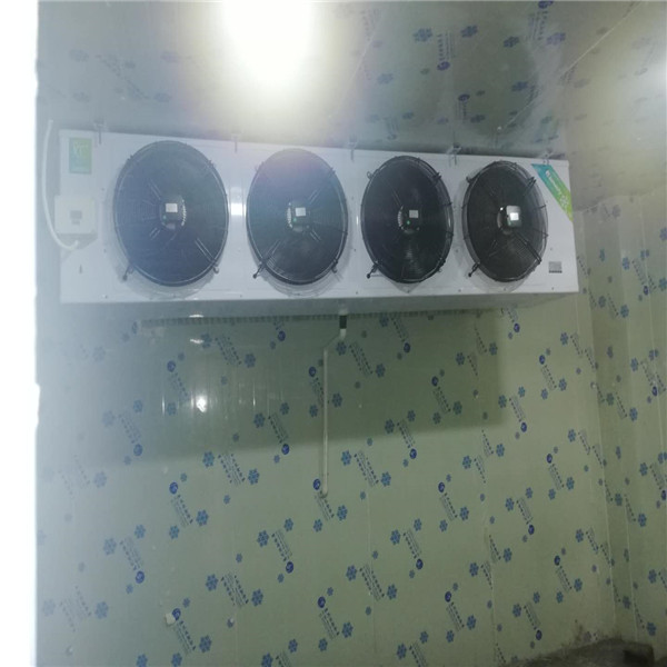 惠州冷冻库厂家