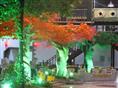 桃花岛假山 大门 雕塑龙 各总仿真榕树 桃树 梅树  红枫  5月1号正式营业