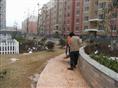江苏正鑫房产塑刻景观路  和人造河道顺利完工 