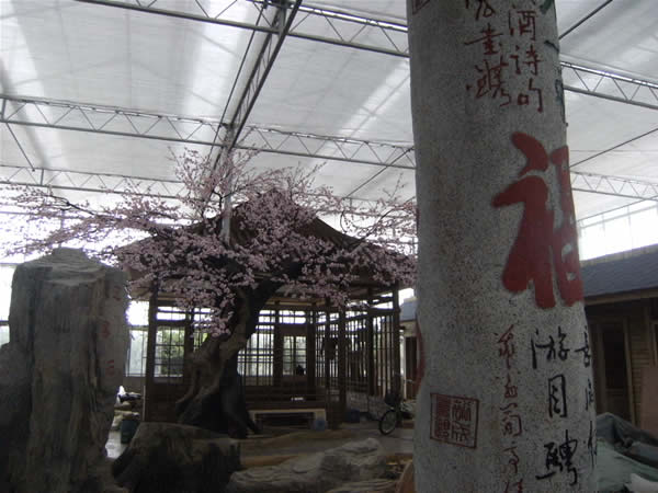 上海海升伴侬生态园**冲刺中 