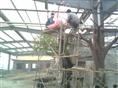 江苏泰州市兴化生态园紧张施工中 