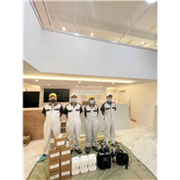 哈尔滨除甲醛价格