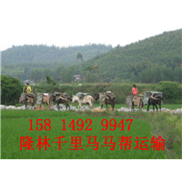 黑龙江骡马运输公司-黑龙江骡马山路运输多少钱 