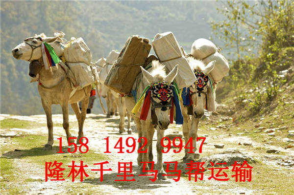长沙马帮运输工程-长沙马帮运输队 