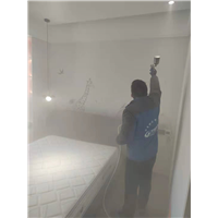 嘉兴专业除甲醛