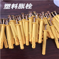 兰州塑料胀栓 