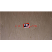 T8825