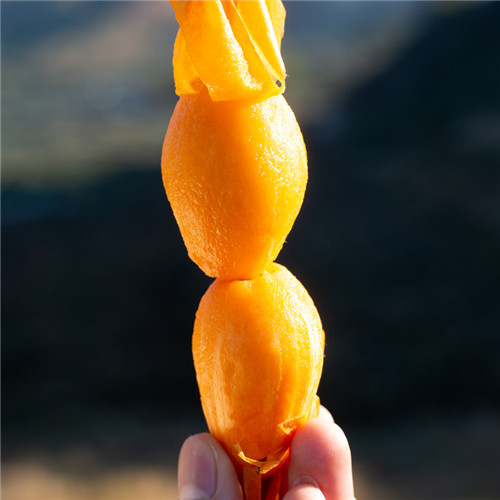 攀枝花米易枇杷销售热线