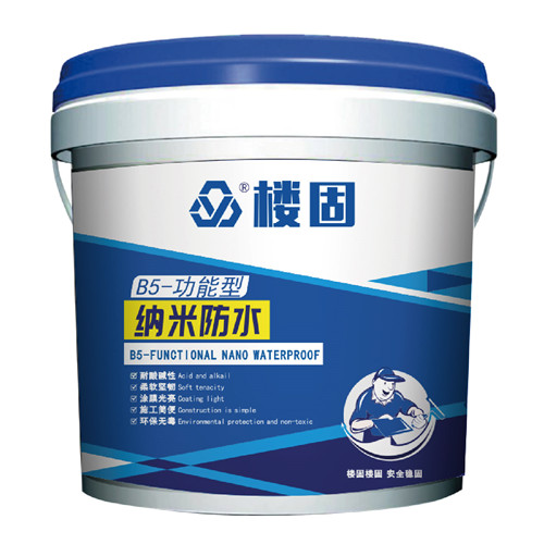 B5-功能型 纳米防水涂料 