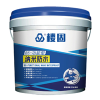 B5-功能型 纳米防水涂料 