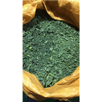 晋江市绿色氨纶泡泡料哪家公司质量好 