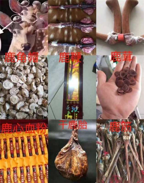 漠河土特产|漠河特产|漠河土特产销售