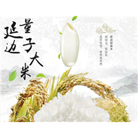 优质大米