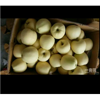 金帅苹果 