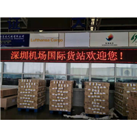 佛山到纽约海运专线