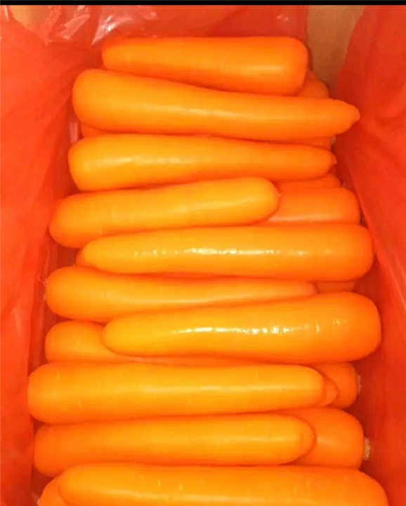 胡萝卜 