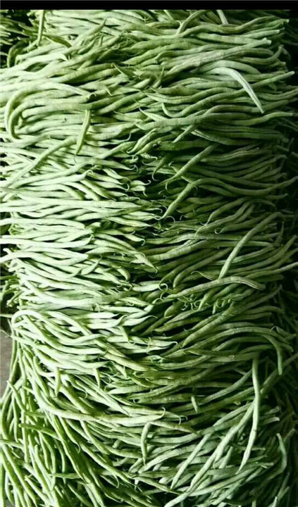 豆角 