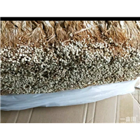 金针菇 
