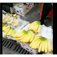 香蕉 