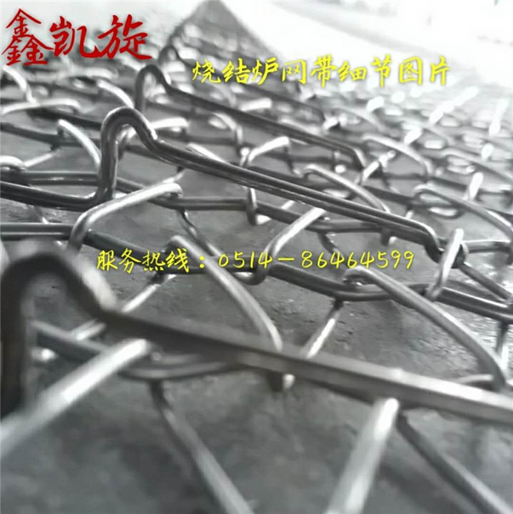 河南人字形提升网带