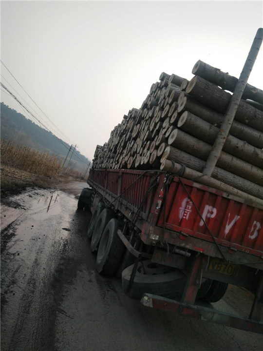 唐山木材加工|遵化市建明镇国宇木材经销处 