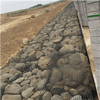 钢塑格栅_福建钢塑格栅出售价格 