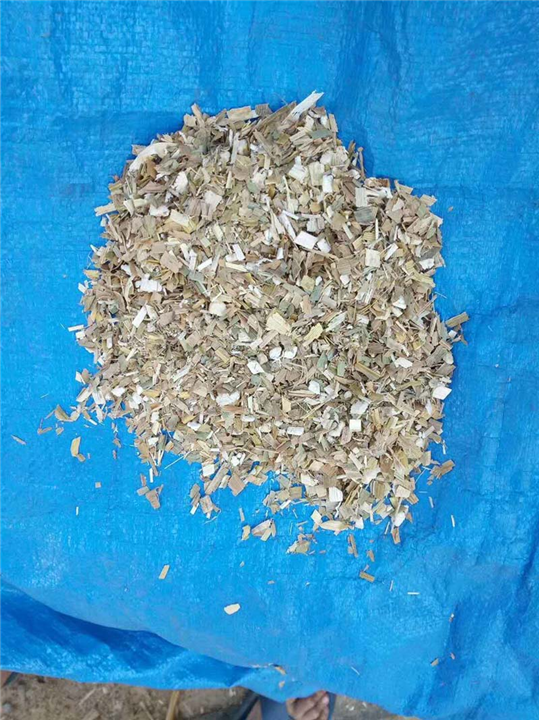 唐山牛羊饲草生产|唐山建立农业开发有限公司 